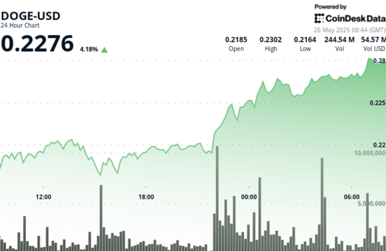 Dogecoin Extends Rally as Whale Accumulation Signals Growing Confidence