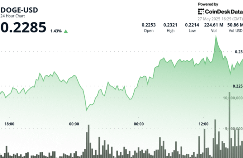 Dogecoin Rebounds 5.5% as Whale Accumulation Fuels Bullish Momentum