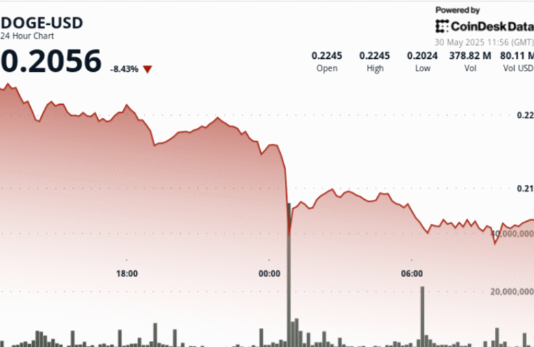 Dogecoin Plunges 10% in Midnight Crash, Struggles to Find Footing