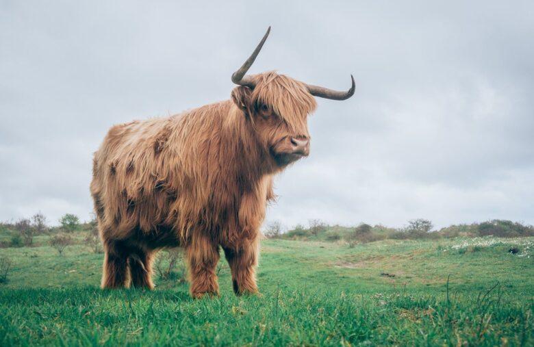 Privacy-Focused Zcash Tops Key Resistance Above $40 to Flash Bull Signal