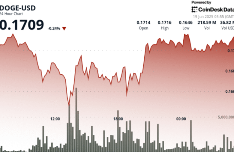Dogecoin Steady But Flashing ‘Oversold’ in Signal for Bearish Bets