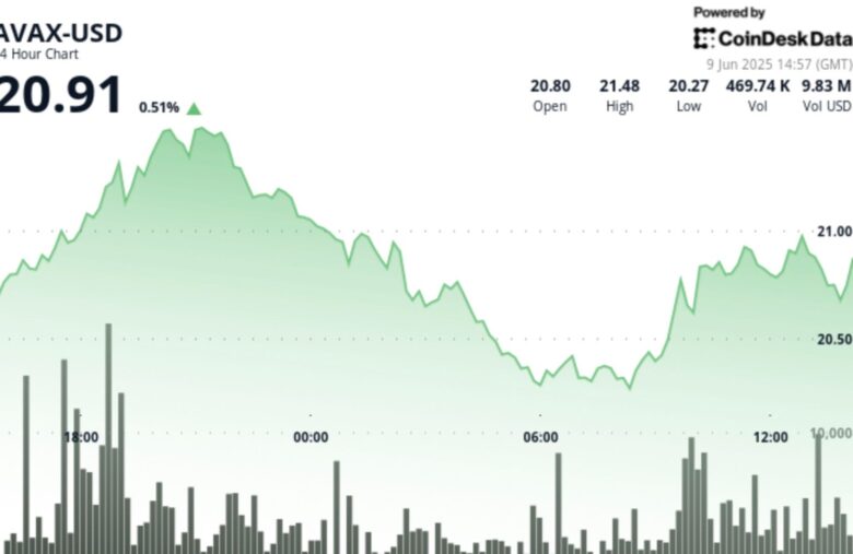 AVAX Forms Critical Short-Term Support at $20.25 Level