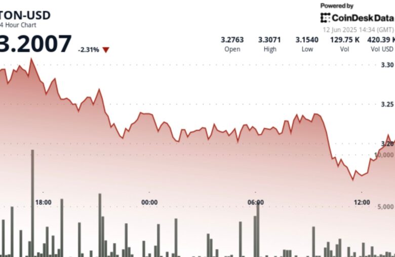 TON Slips as Selling Pressure Mounts Despite Recovery Attempts