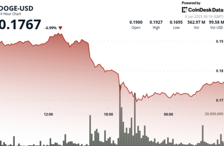 Dogecoin Drops as Much as 12% Amid Trump-Musk Drama