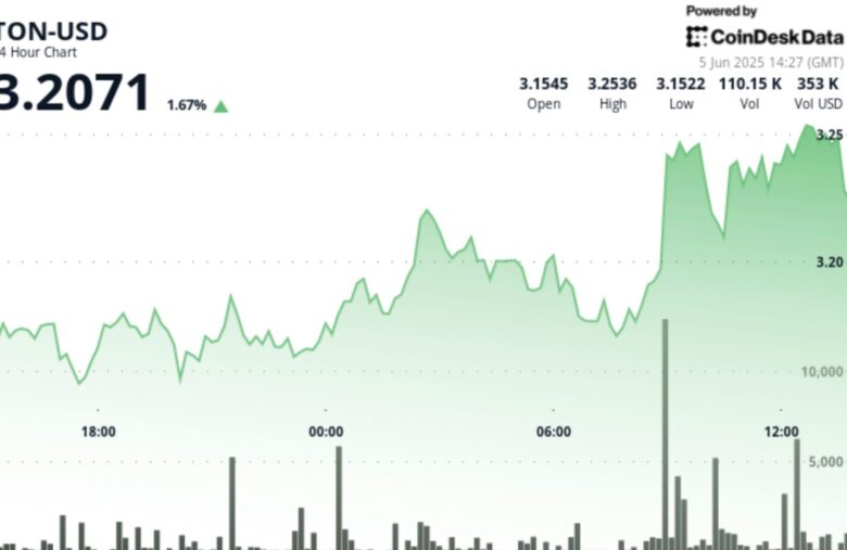 TON Surges 3%, Outperforming Declining CoinDesk 20