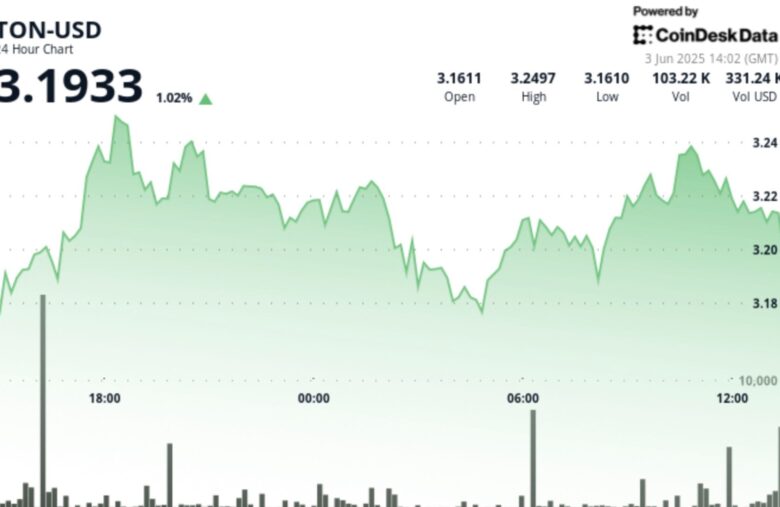 TON Struggles Against $3.24 Resistance Level, Settles at $3.18