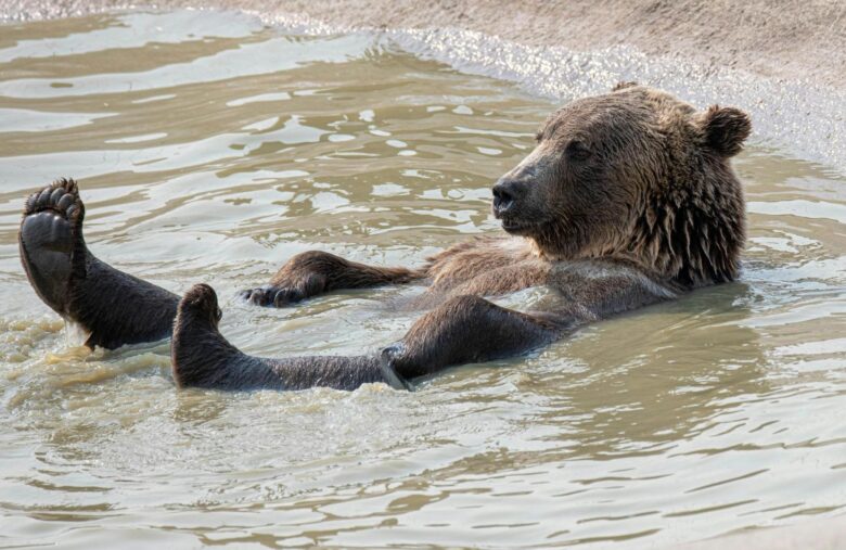 Crypto Daybook Americas: Bitcoin Faces Bearish June Seasonality as ETF Flows Slow
