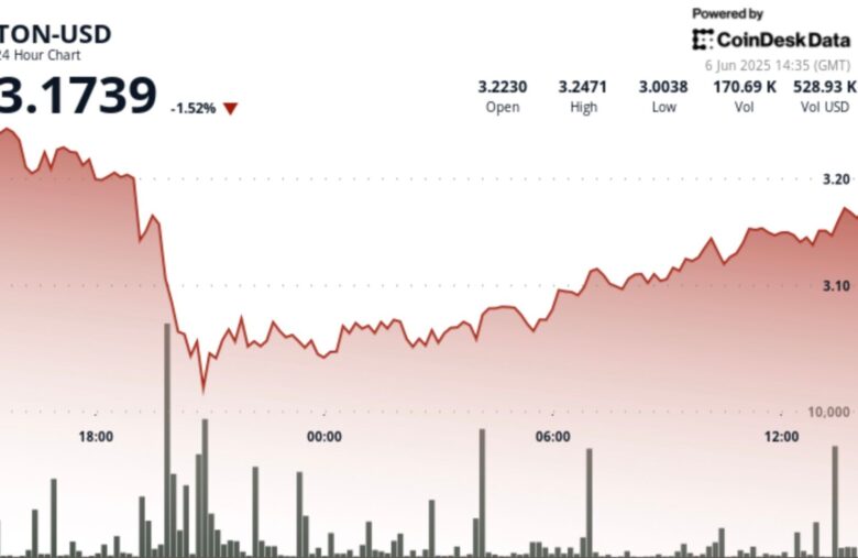 TON Finds ‘Strong Support’ at $3.00 Level Amid Wild Crypto Price Swings